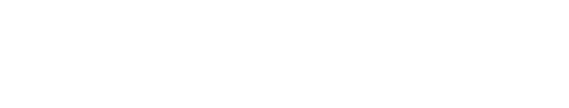 The Picco Institute